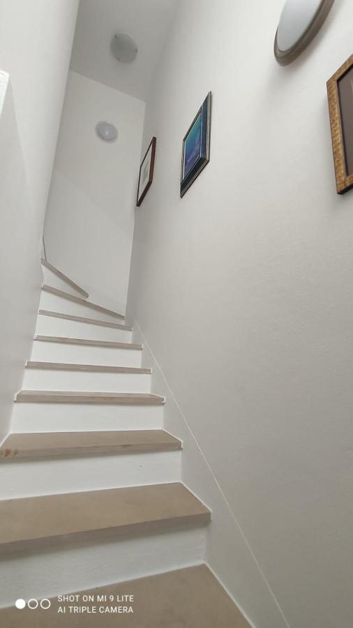 Apartmani Gavran พิโรวัซ ภายนอก รูปภาพ